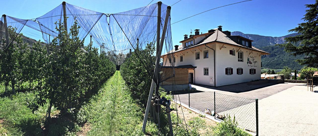 Residence Egger Terlano Exterior foto